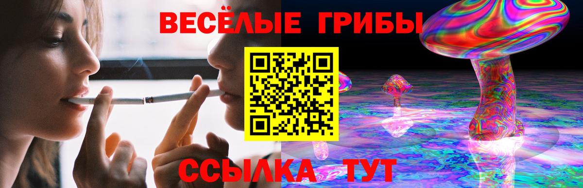 Галлюциногенные грибы мицелий  Вход с VPN  Артём 